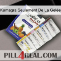 Kamagra Seulement De La Gelée 11